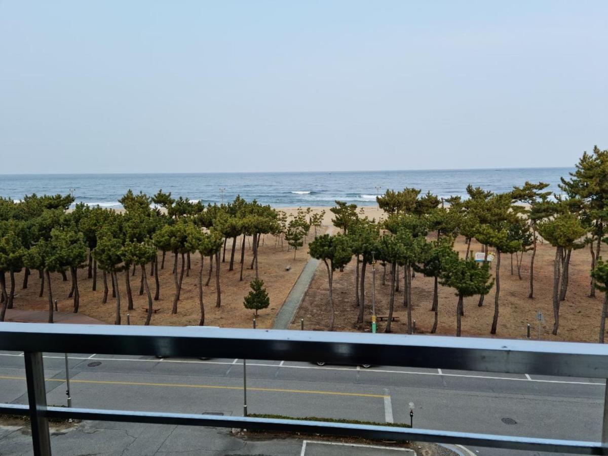 松树海滩公寓 襄阳郡 外观 照片