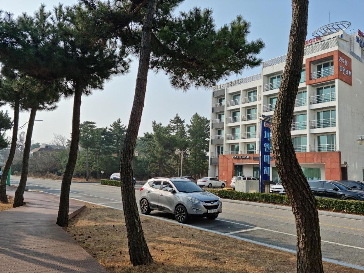 松树海滩公寓 襄阳郡 外观 照片