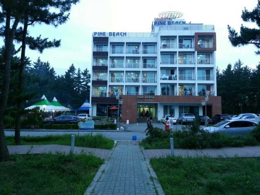 松树海滩公寓 襄阳郡 外观 照片