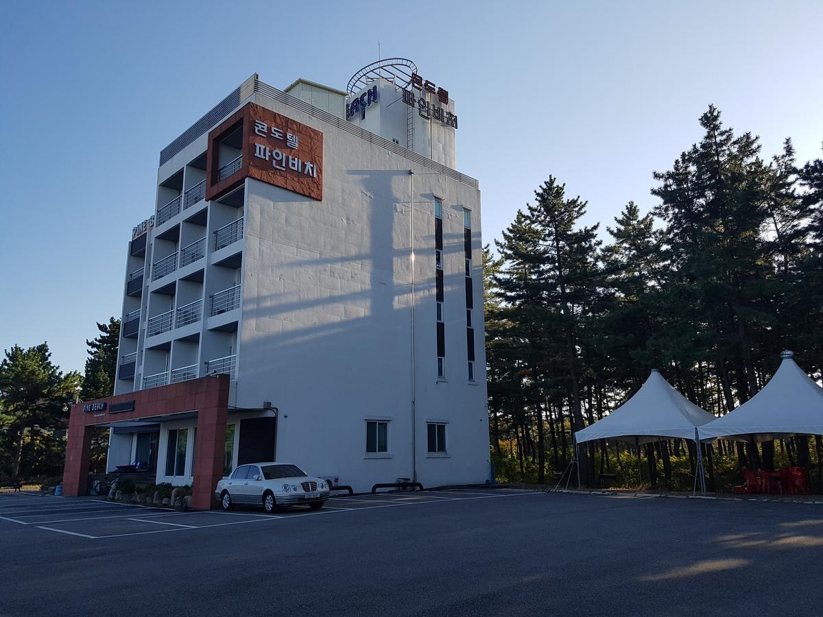 松树海滩公寓 襄阳郡 外观 照片