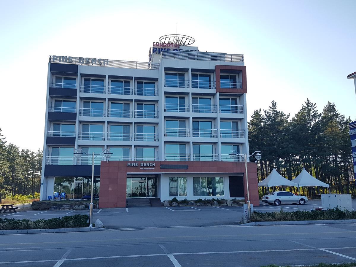 松树海滩公寓 襄阳郡 外观 照片